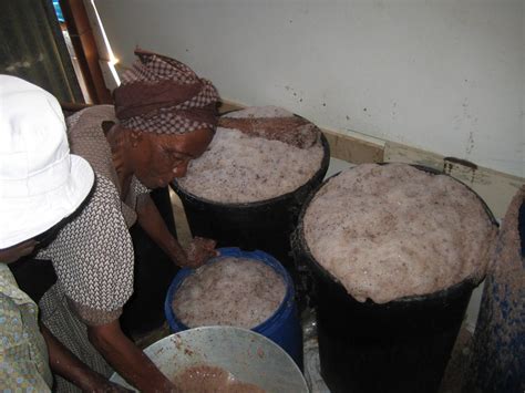 how to brew sorghum beer.